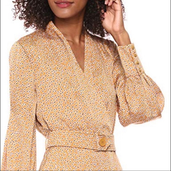 Equipment Fanetta Belted Dress - Picture 3 of 9